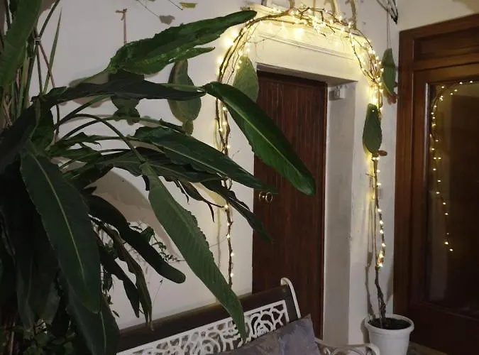 Appartement Corte Serra *